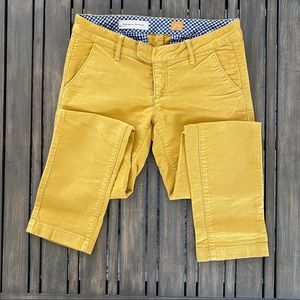 Anthropologie Pilcro & the letterpress Pants